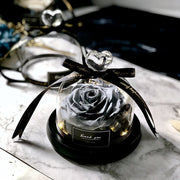 Exclusive Rose in Glass Dome with Lights