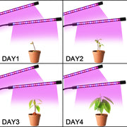 Plant Grow Light