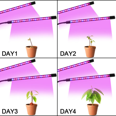 Plant Grow Light