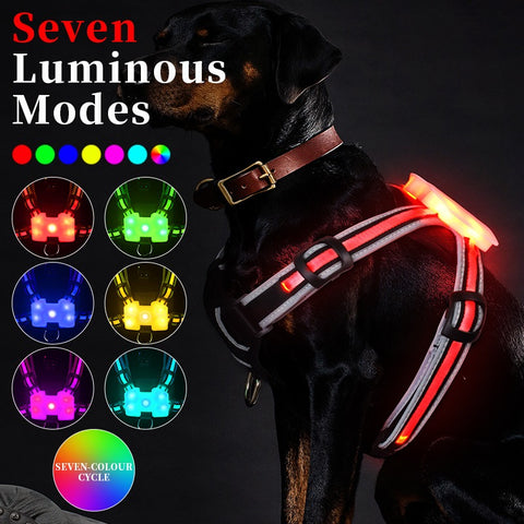 LED Luminous Big Dog Chest Strap