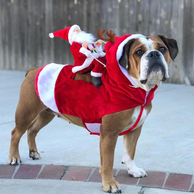 Riding Santa Dog Jacket