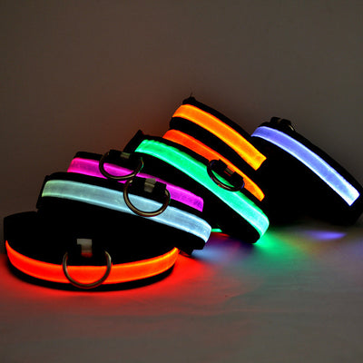 LED Pet Luminous Collar