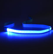 LED Light-Emitting Dog Leash