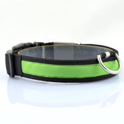 LED Pet Luminous Collar