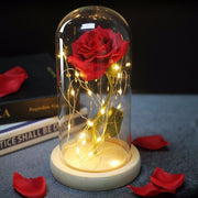 Beauty & the Beast Rose