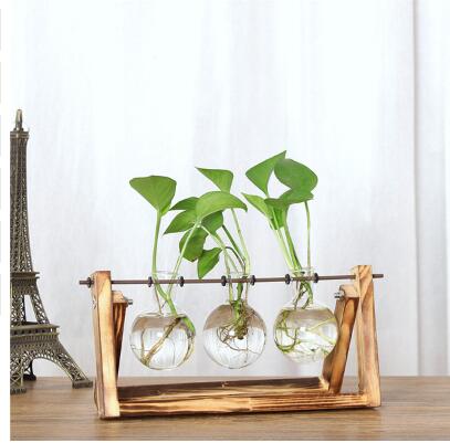 Vintage Creative Hydroponic Plant Transparent Vase