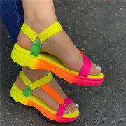 Multi Colour Sandals