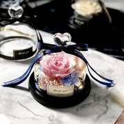 Exclusive Rose in Glass Dome with Lights