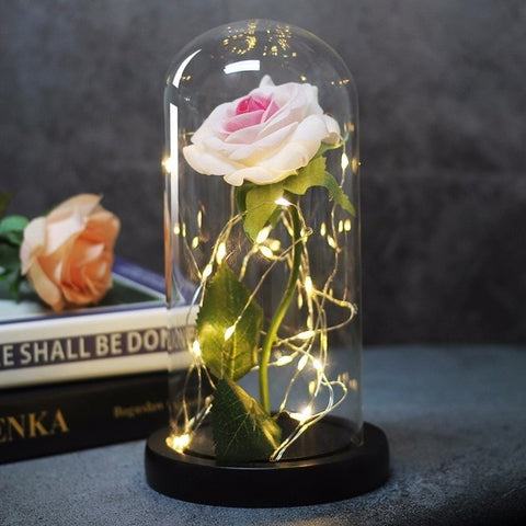 Beauty & the Beast Rose