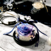 Exclusive Rose in Glass Dome with Lights