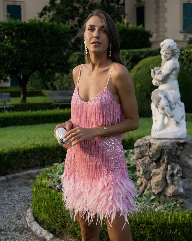 Fashion Fringe Sequin Feather Dress