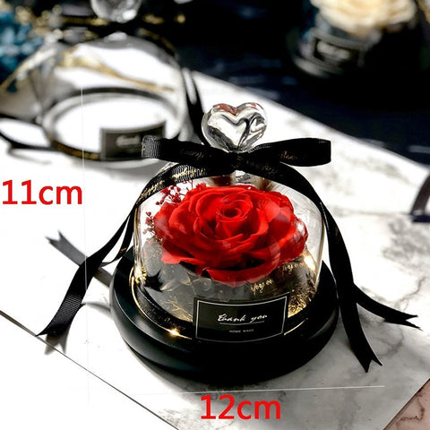 Exclusive Rose in Glass Dome with Lights