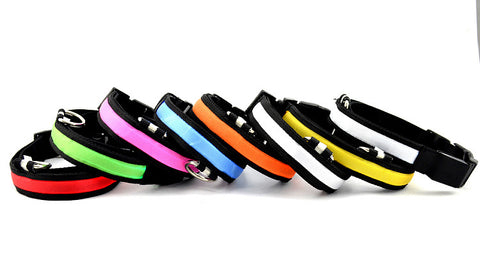 LED Pet Luminous Collar