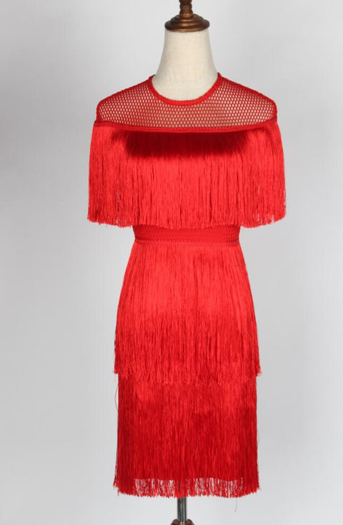 Fashion Fringe Dress