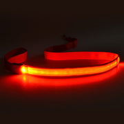 LED Light-Emitting Dog Leash