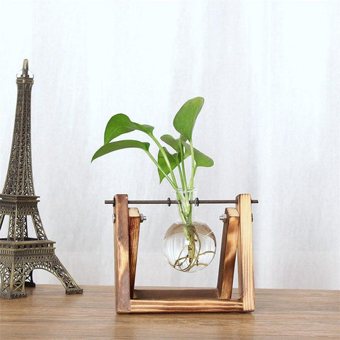 Vintage Creative Hydroponic Plant Transparent Vase