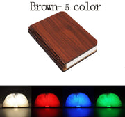 Wooden Book Light