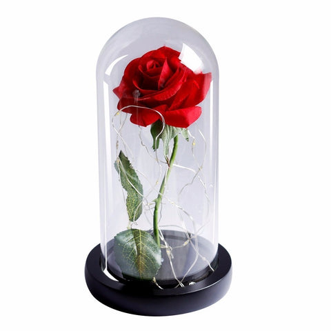 Beauty & the Beast Rose