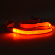 LED Light-Emitting Dog Leash