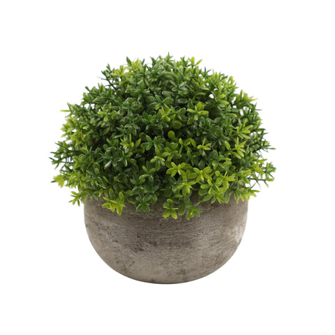 Combination Semi Round Pulp Bonsai Simulation Plant