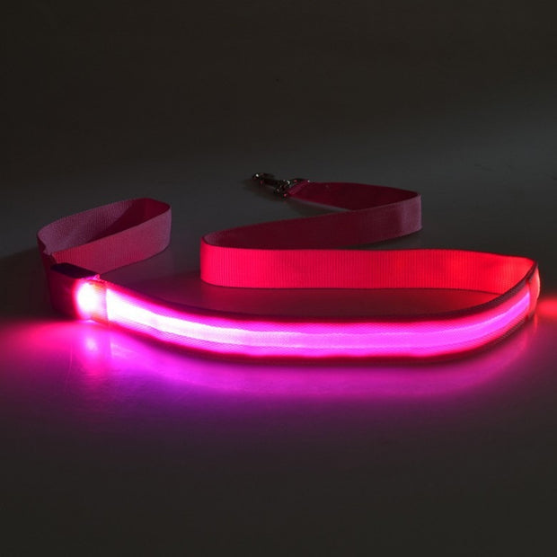 LED Light-Emitting Dog Leash