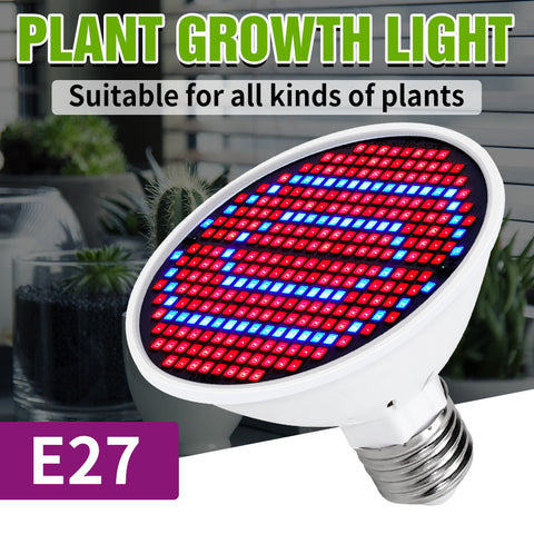 Plant Grow Light