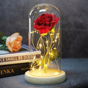 Beauty & the Beast Rose