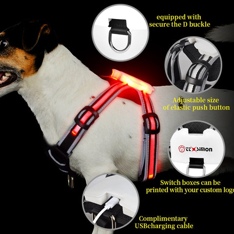 LED Luminous Big Dog Chest Strap