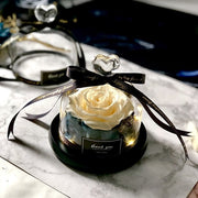 Exclusive Rose in Glass Dome with Lights