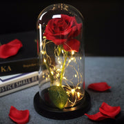 Beauty & the Beast Rose