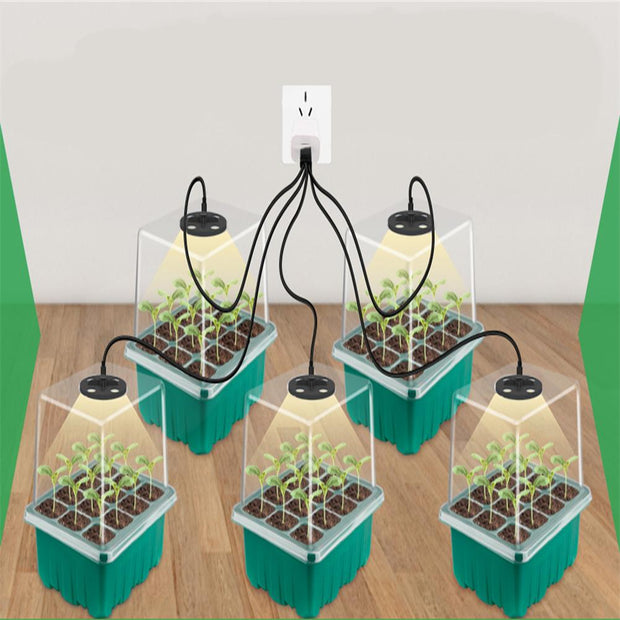 Seedling Light Box