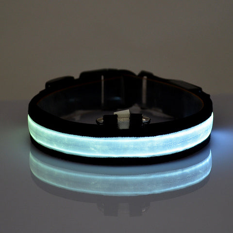 LED Pet Luminous Collar