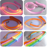 LED Light-Emitting Dog Leash