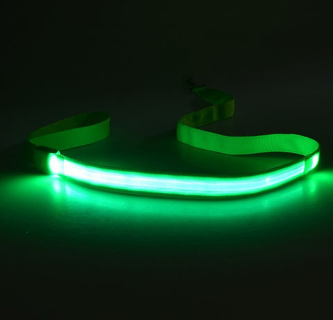 LED Light-Emitting Dog Leash