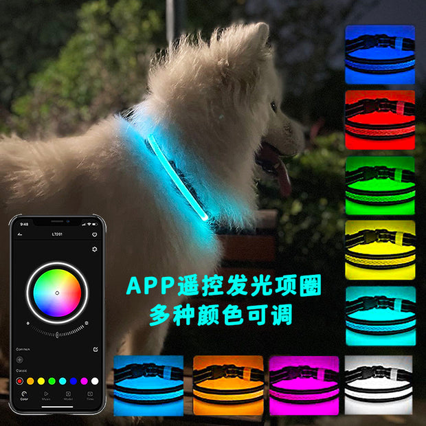 LED Cat & Dog Collar