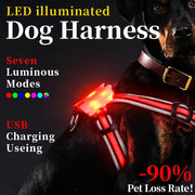 LED Luminous Big Dog Chest Strap