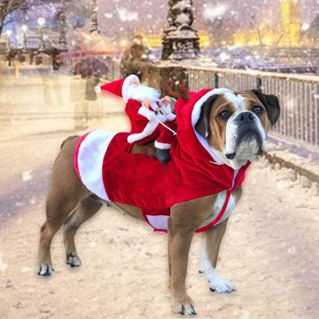 Riding Santa Dog Jacket