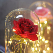 Beauty & the Beast Rose